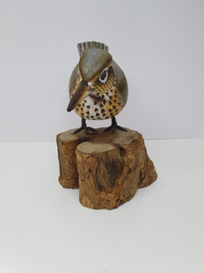 Song Thrush