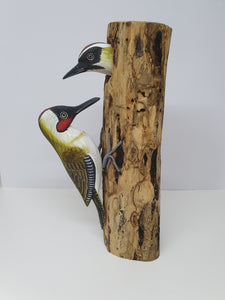 Pair of Green Woodpeckers