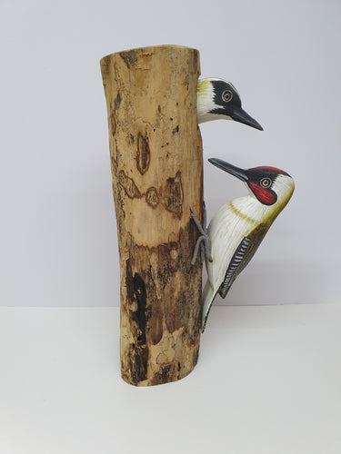 Pair of Green Woodpeckers