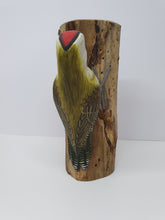 Green Woodpecker