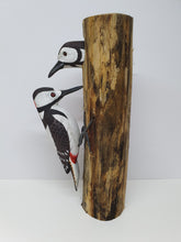 Pair of Spotted Woodpeckers
