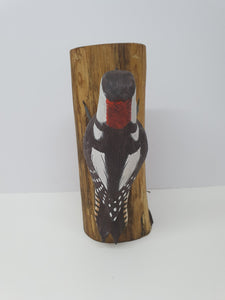 Spotted Woodpecker