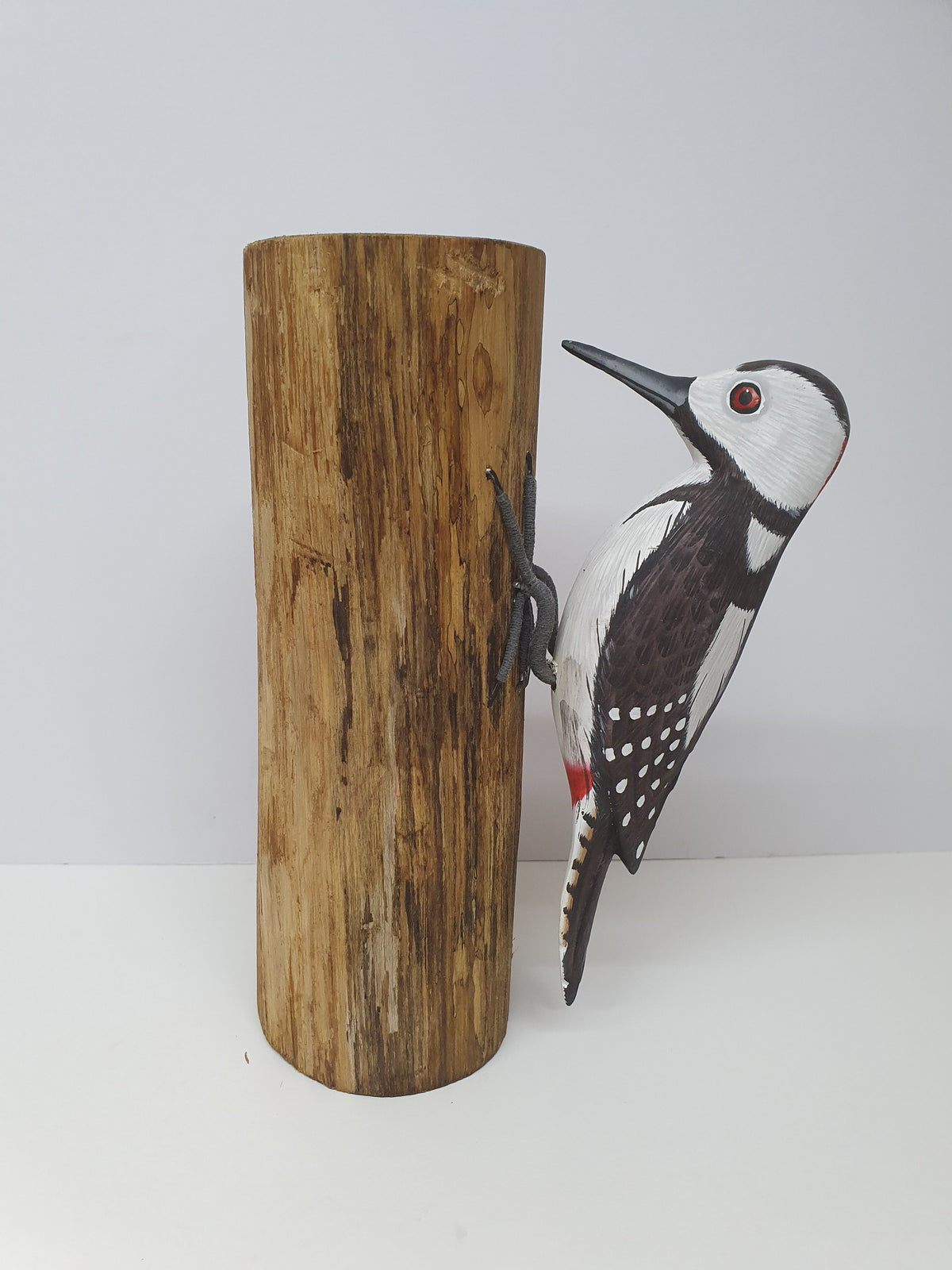 Spotted Woodpecker