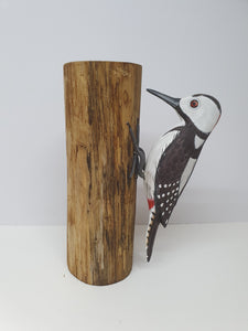 Spotted Woodpecker