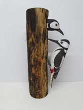Pair of Spotted Woodpeckers